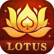 teen patti b download